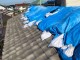 火災保険で台風被害にあったご自宅を横暖ルーフでカバー工法