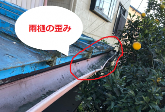 雨樋