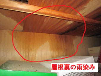 天井裏の雨染み