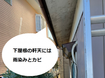 軒天