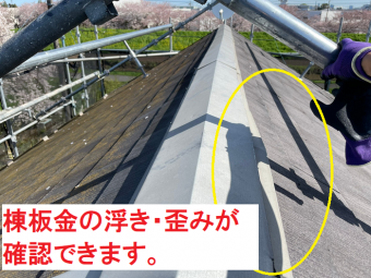 63c6dc57fef0047df40f5ea63af67aa0-columns2