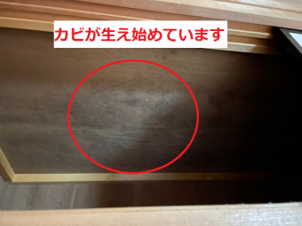 押し入れカビ