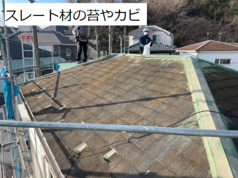 スレート屋根に生える苔