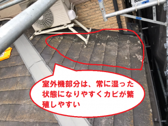 室外機部分のカビの繁殖
