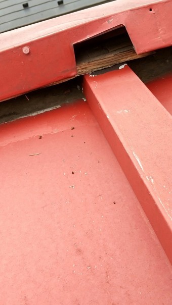瓦棒屋根、棟板金浮きあがり