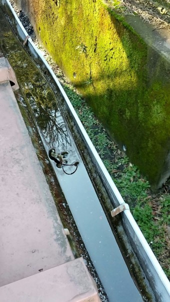 軒樋、雨樋、つまり、破損、落ち葉よけネット