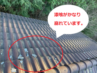 大屋根全体