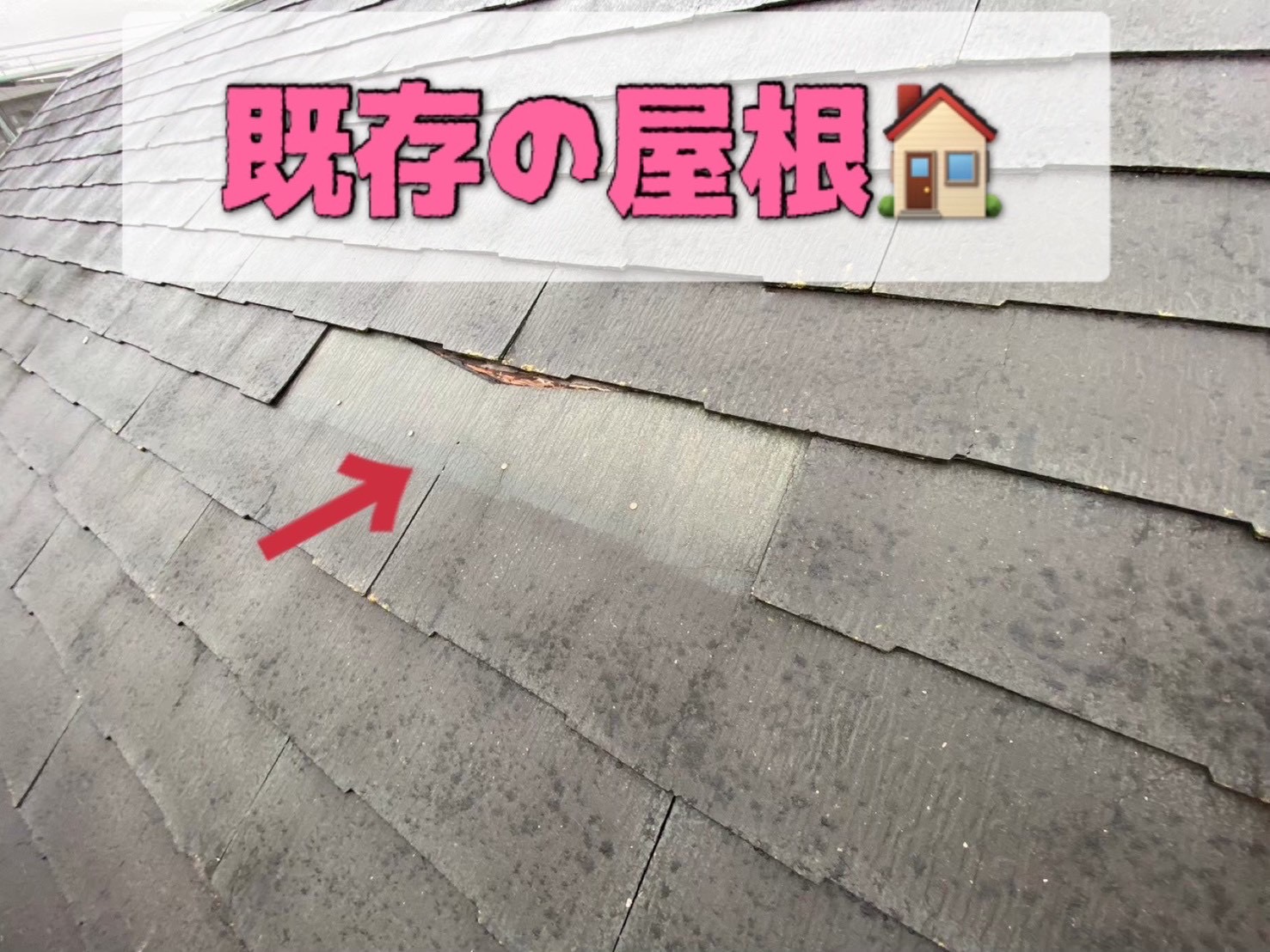 既存屋根　スレート