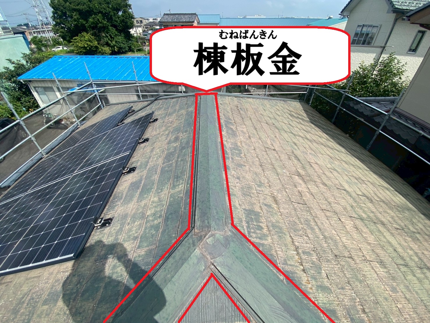 棟板金