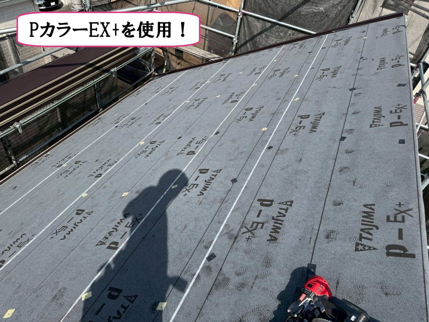 PカラーEX+