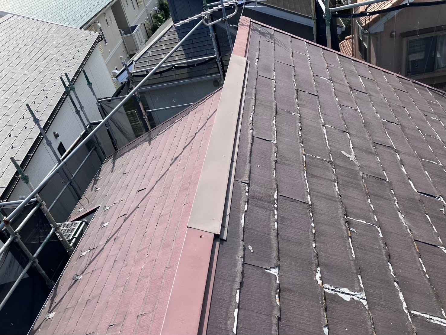 棟違い