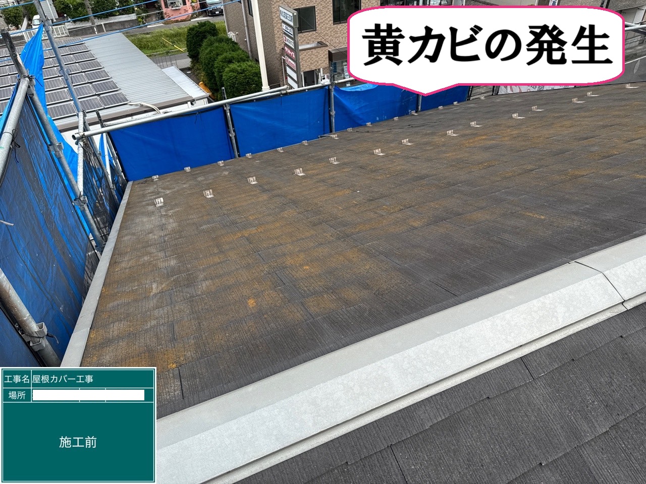 既存屋根