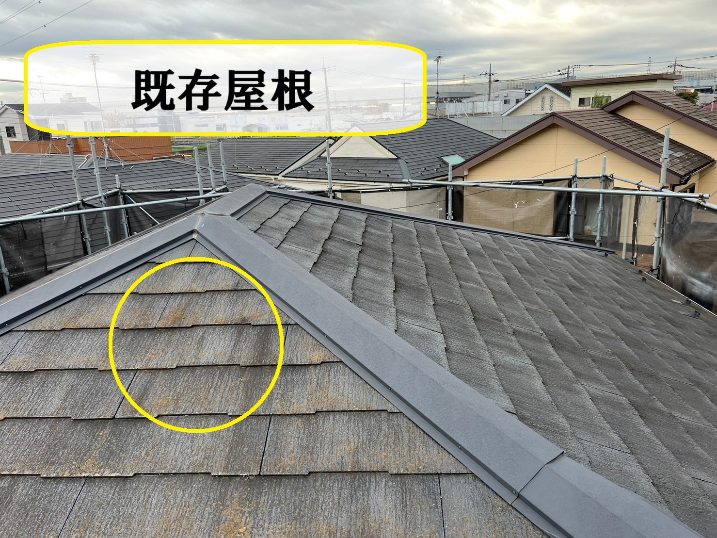 既存屋根