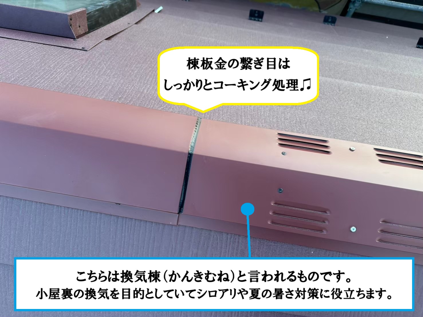 換気棟