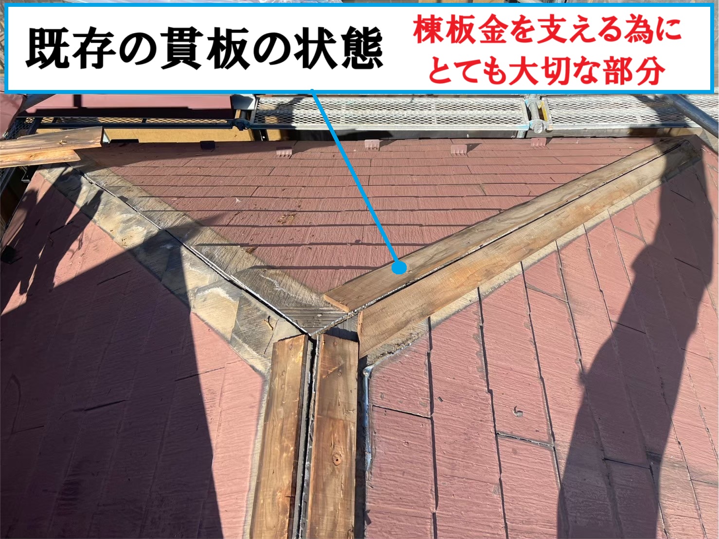 ぬきいた