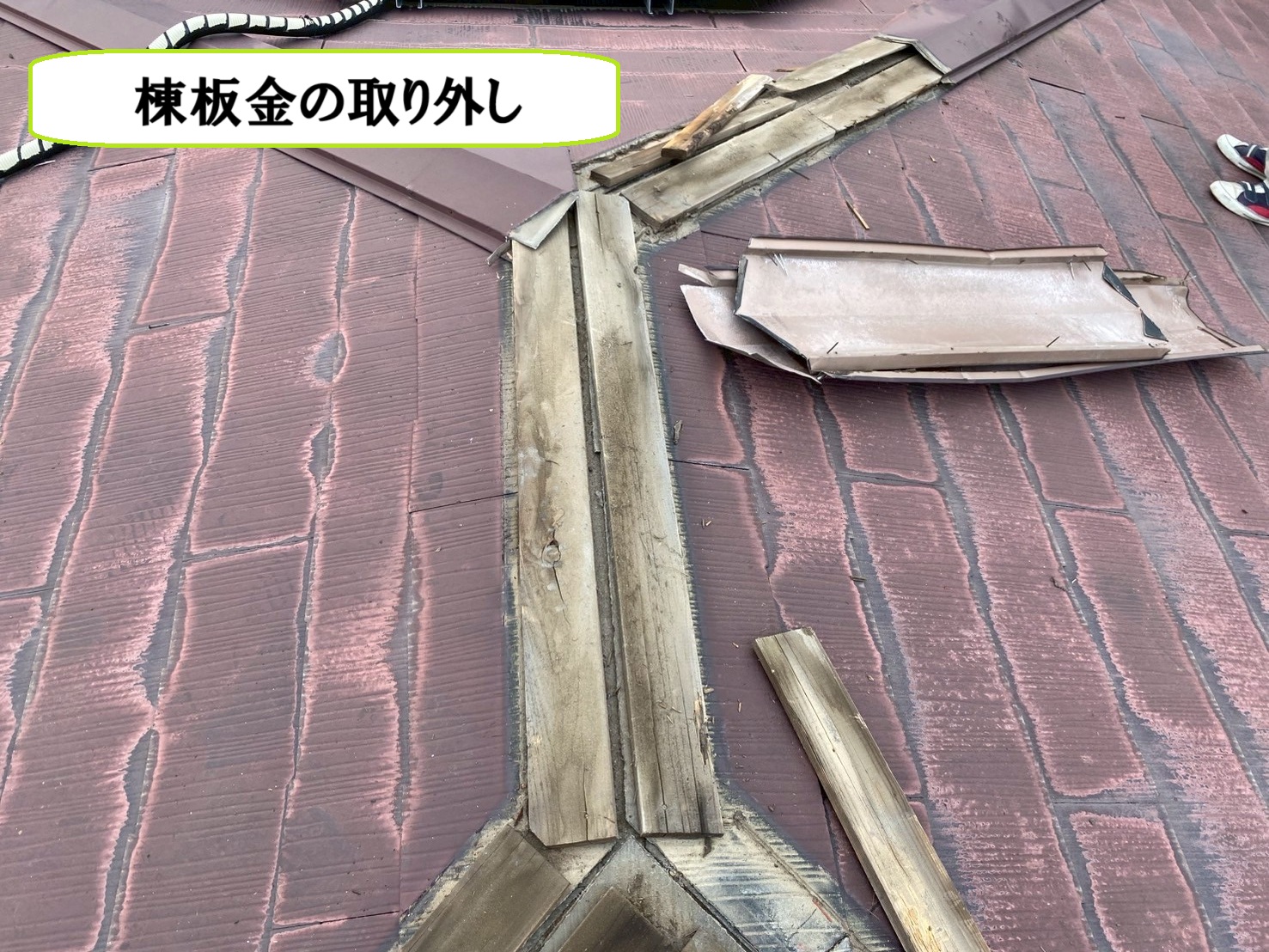 棟板金