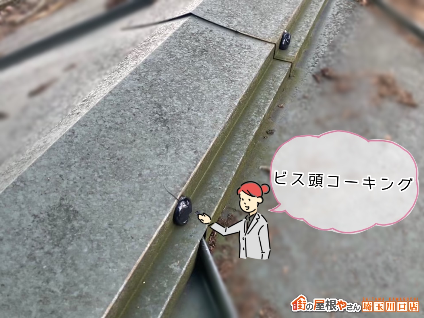 桶川　ビス頭コーキング