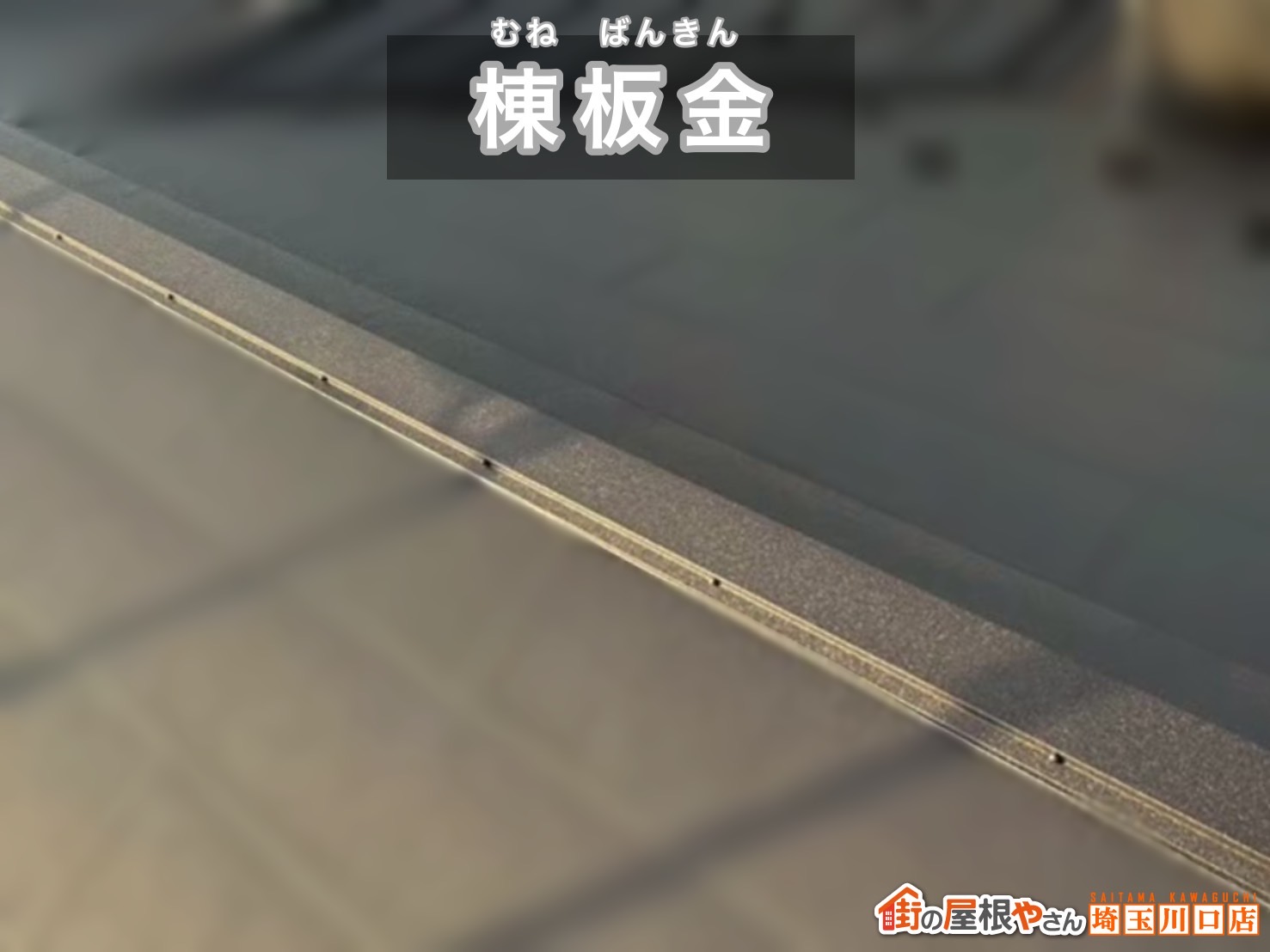 川口市　屋根カバー工事