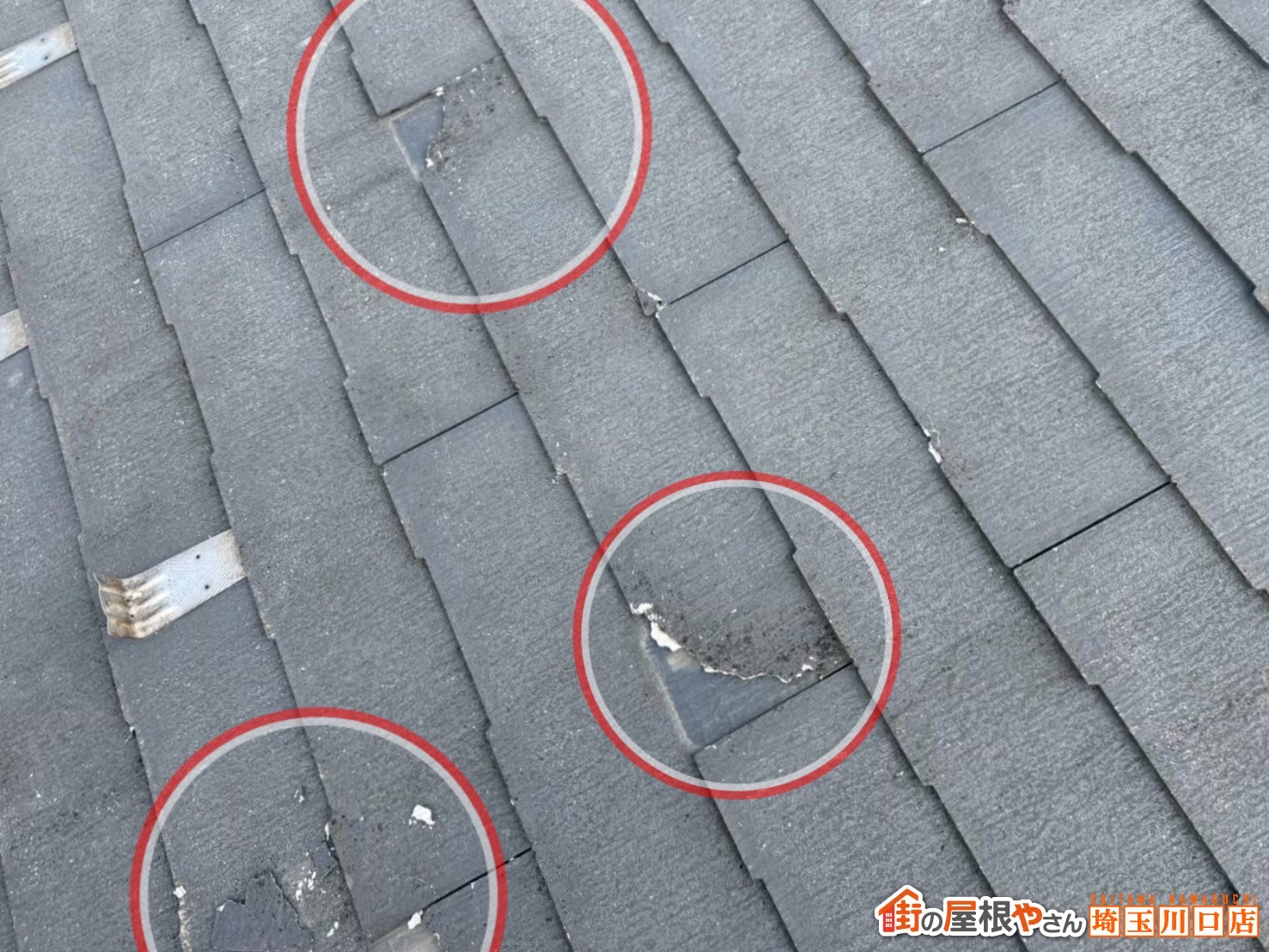 川口市　屋根カバー工事