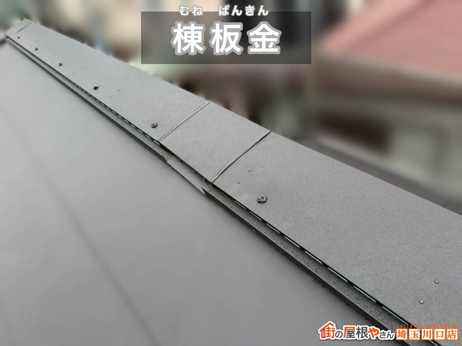 鴻巣市　屋根カバー工事