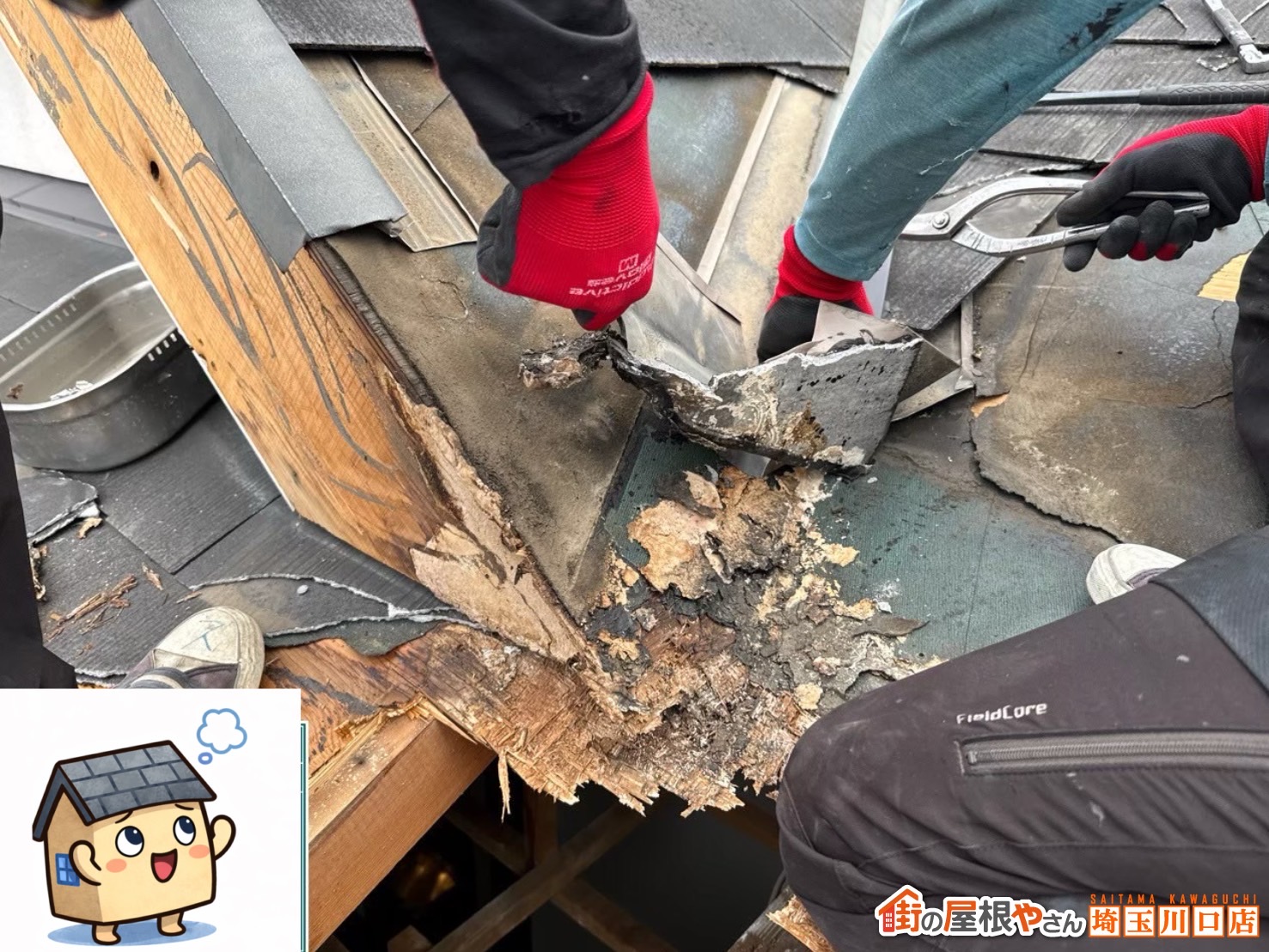 川口市　屋根カバー工事