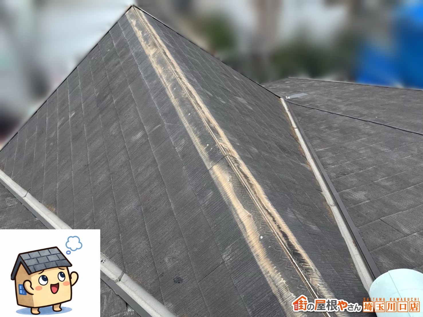 川口市　屋根カバー工事