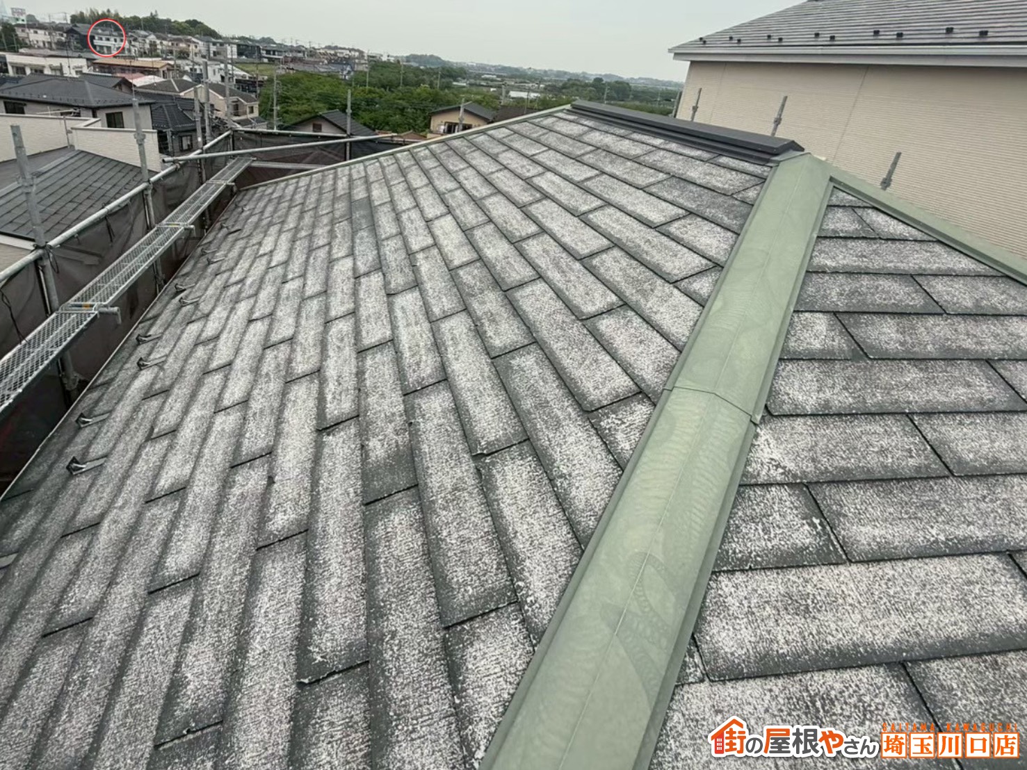 屋根全体に広がる白化と色むらの確認