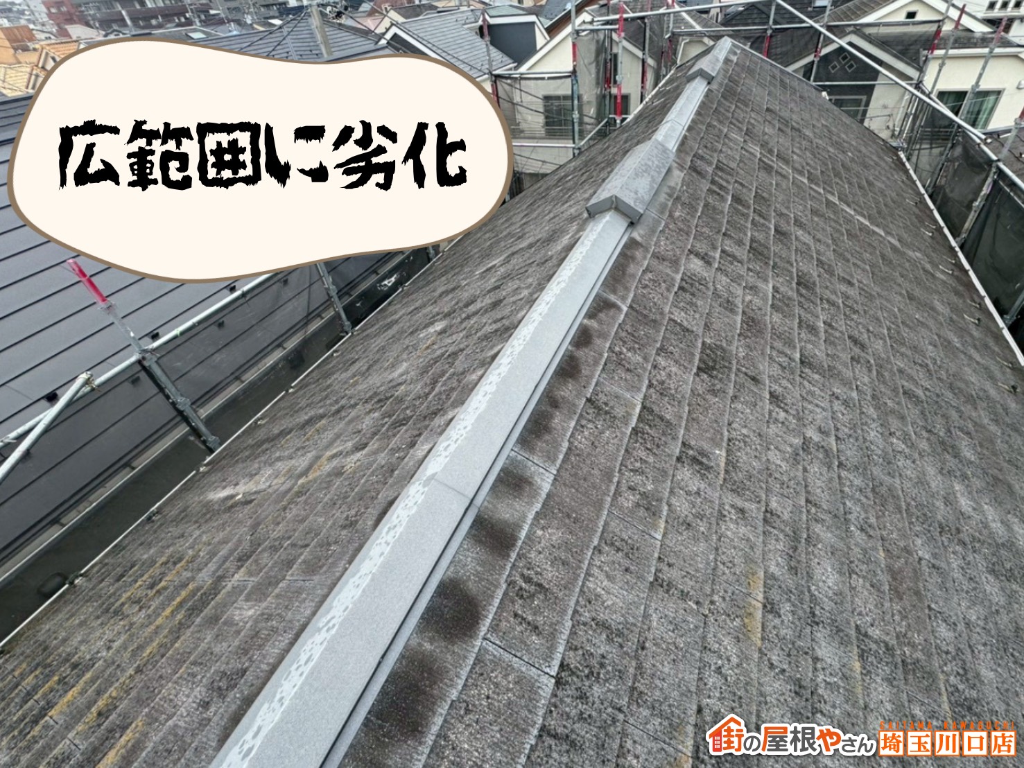 棟まわりを含む屋根全体の劣化状況を確認