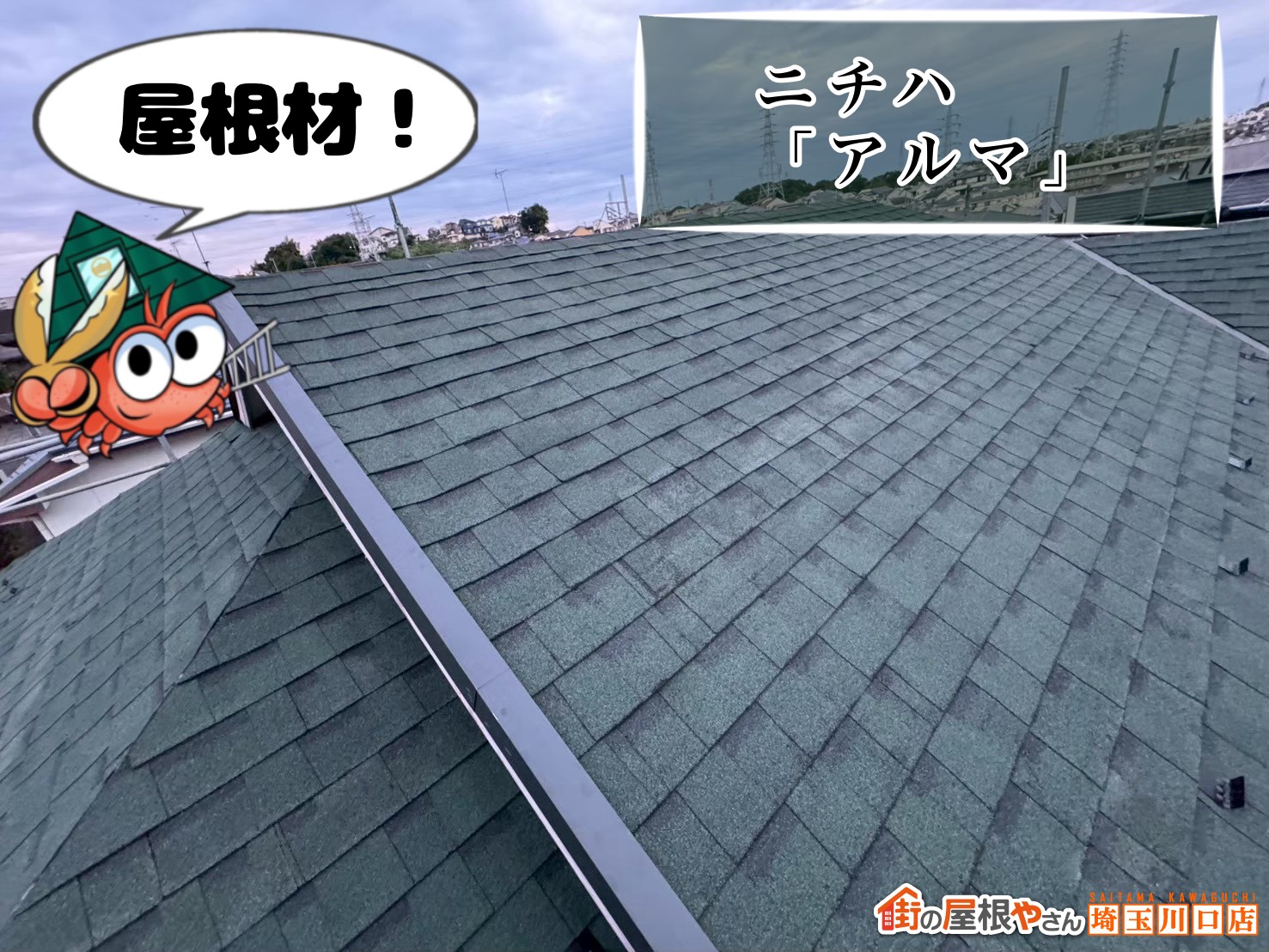 屋根材の施工：ニチハ「アルマ」によるカバー