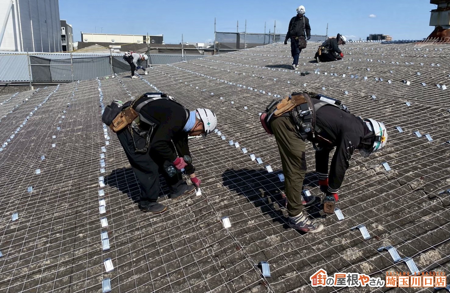 サドル・タイトフレーム固定中