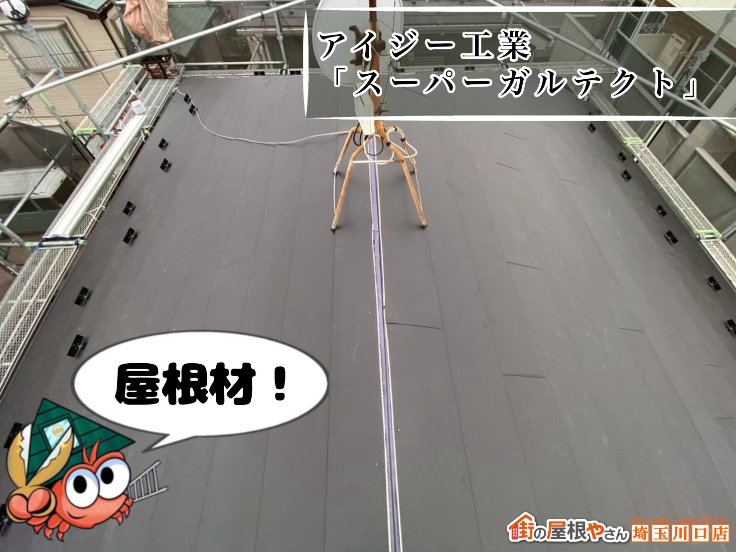 屋根材　アイジー工業｜スーパーガルテクト