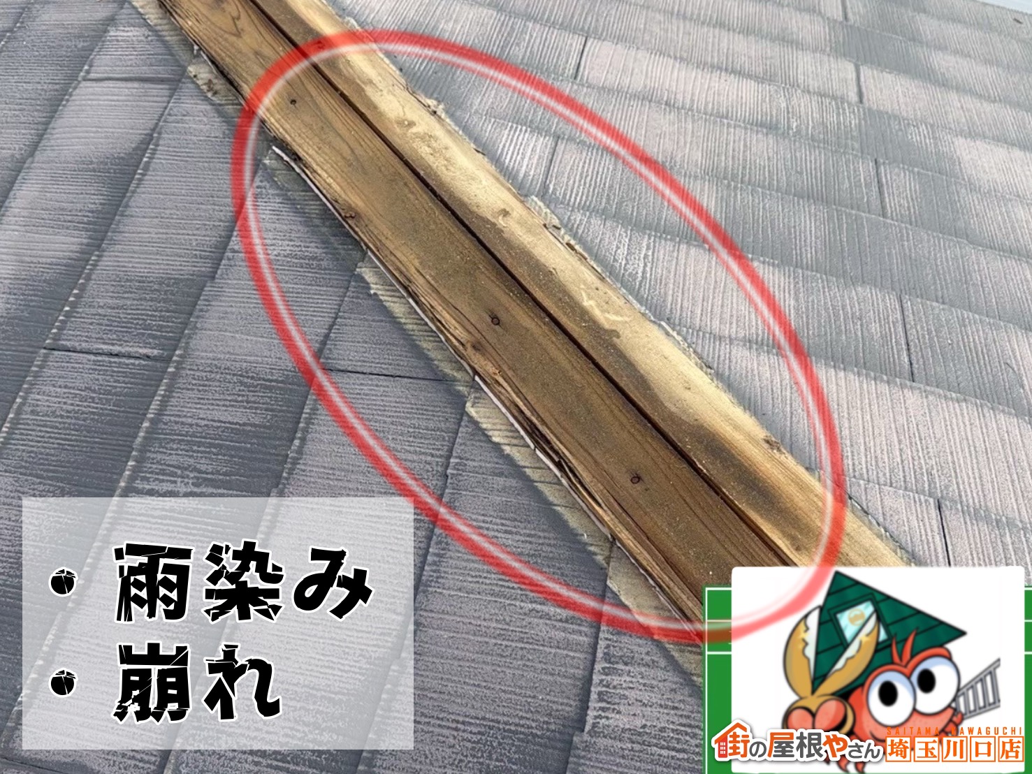 既存の木製貫板　雨染み・崩れ