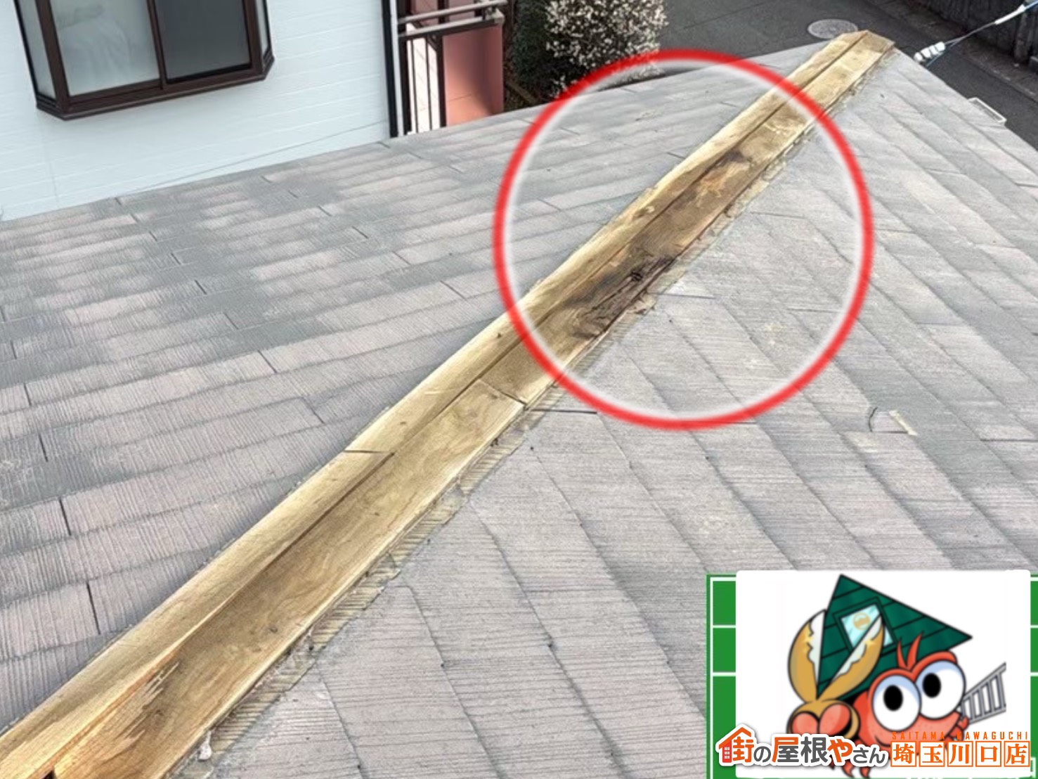 既存の木製貫板　雨染み