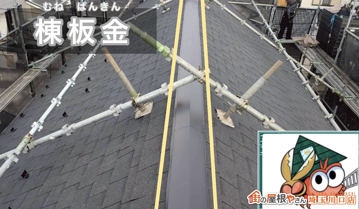棟板金
