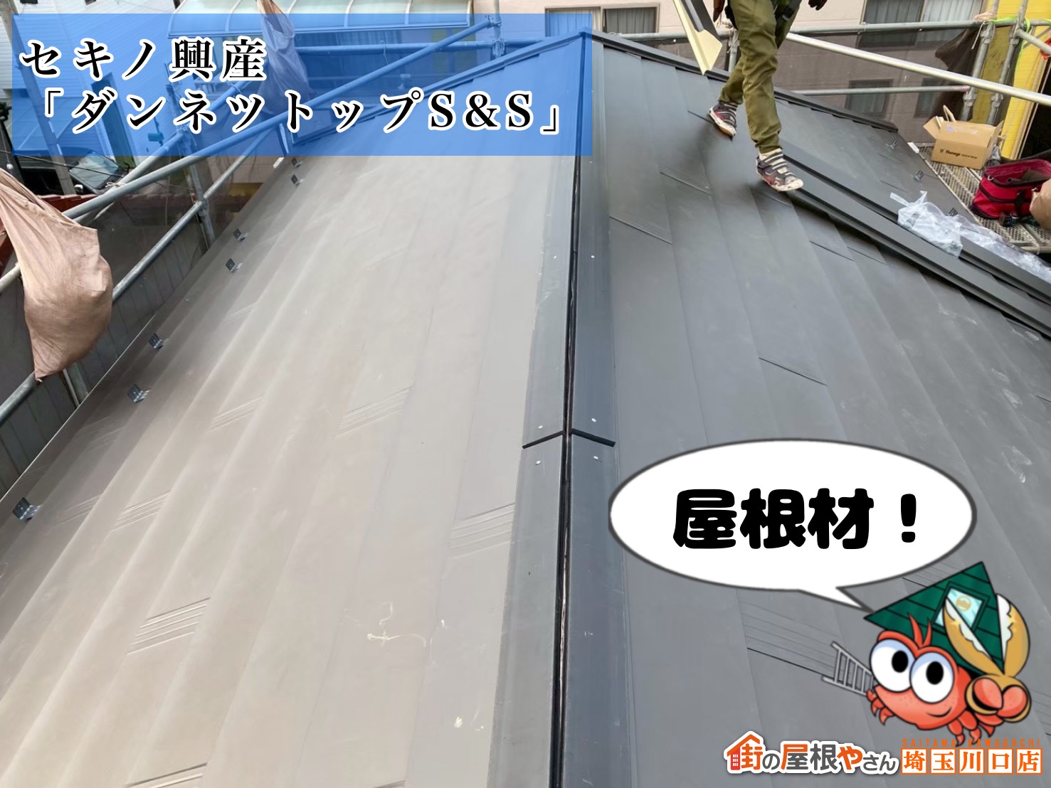 屋根材　セキノ興産│ダンネツトップS＆S