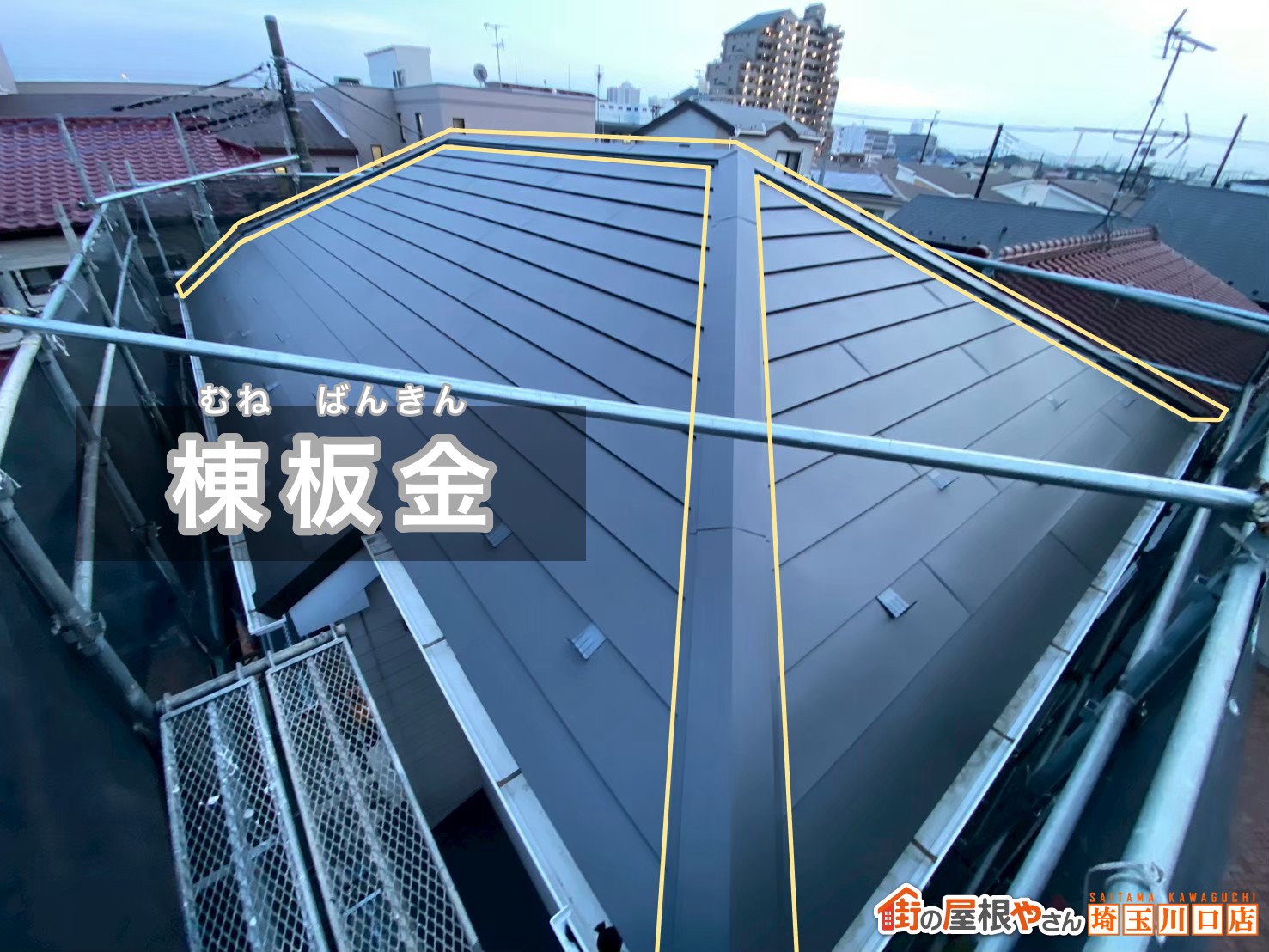 棟板金