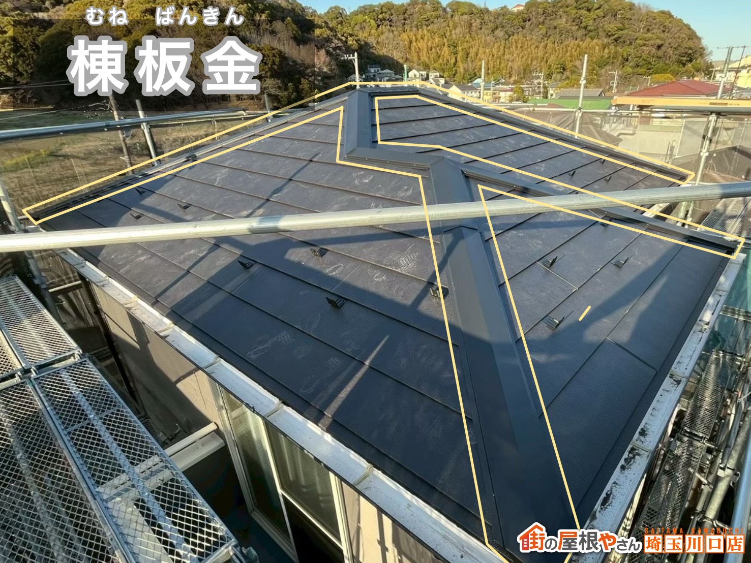 棟板金