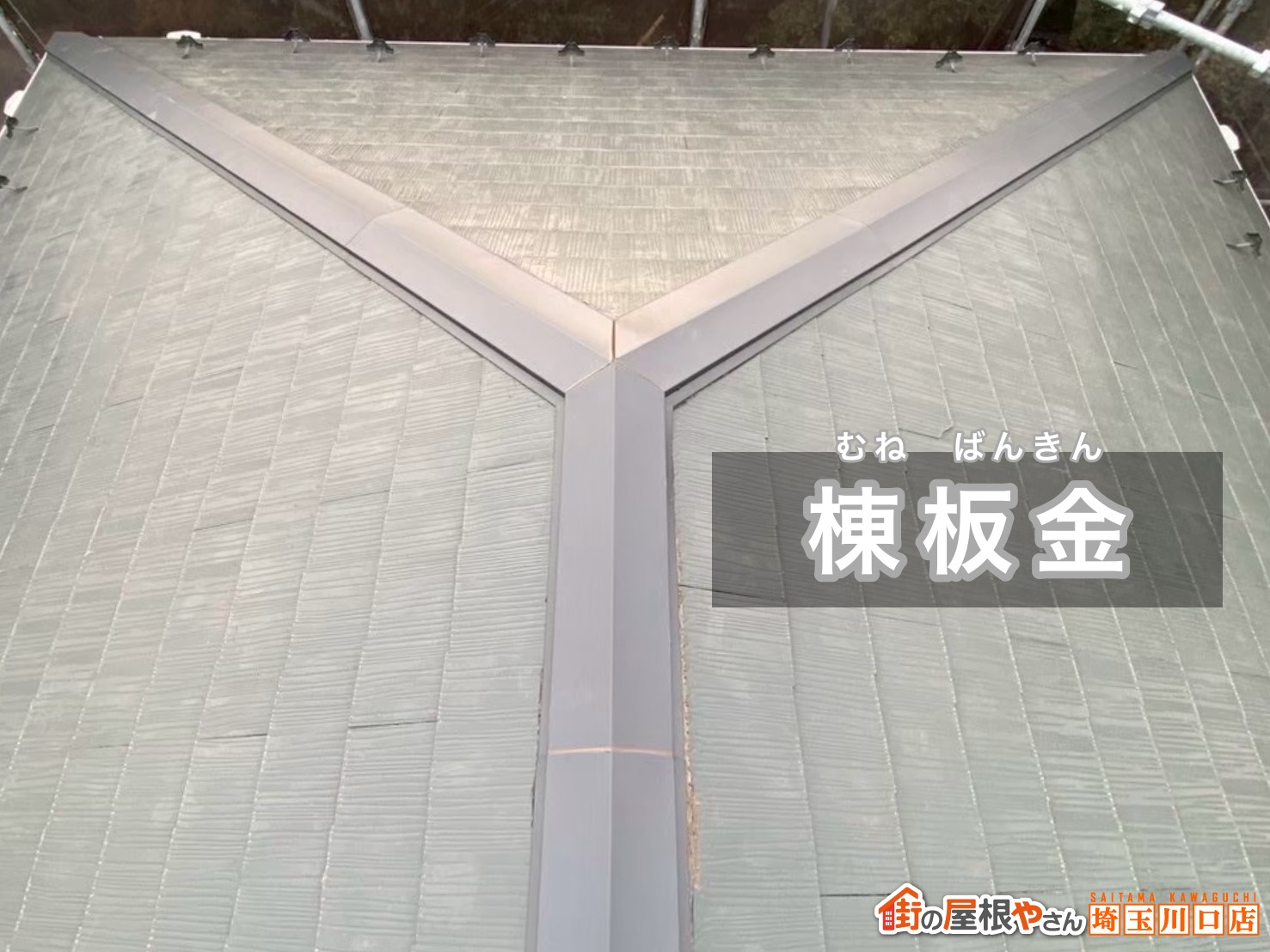 棟板金