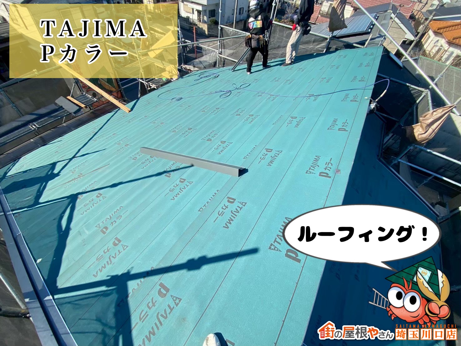 ルーフィング　TAJIMA│Pカラー
