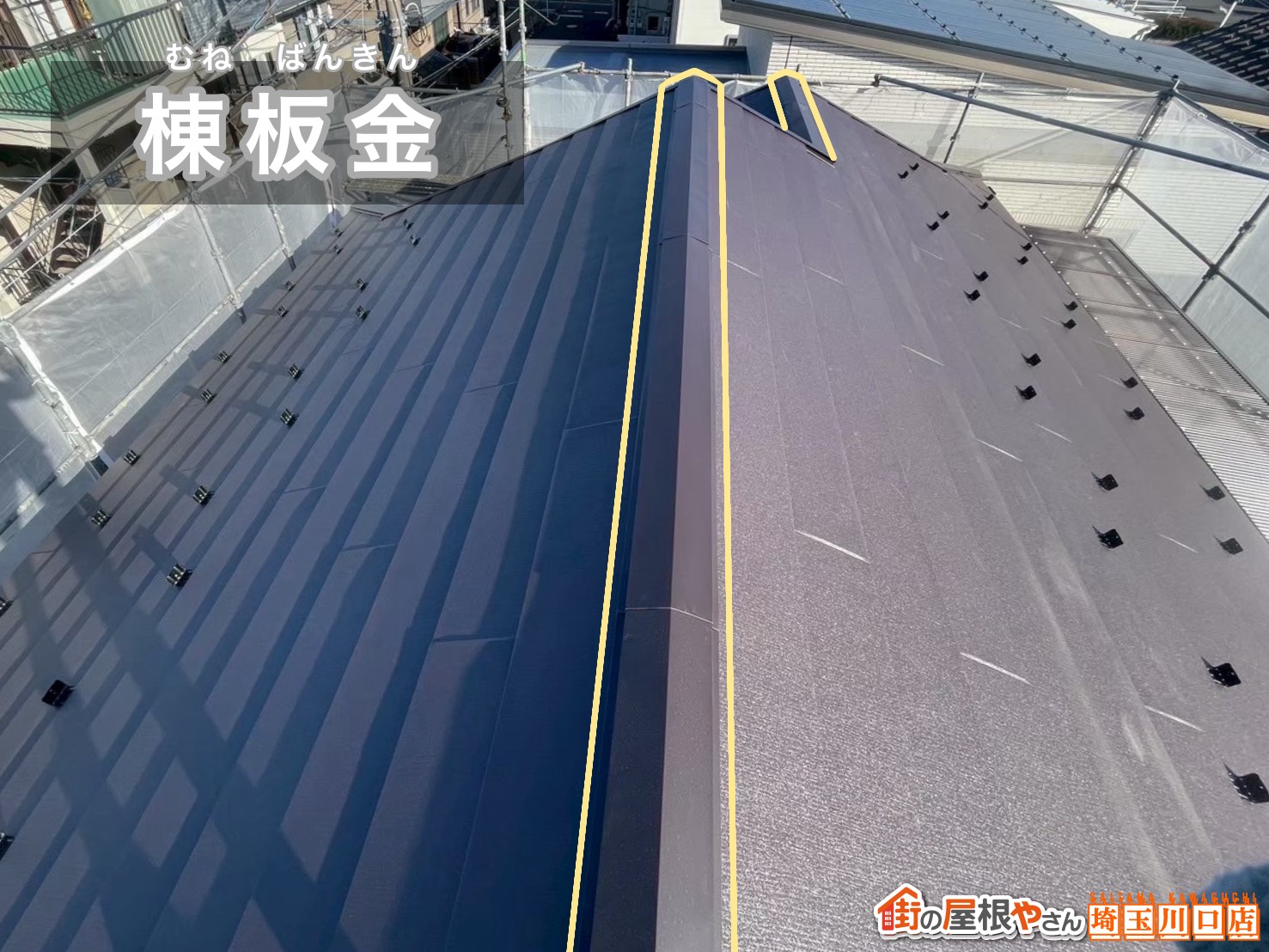 棟板金