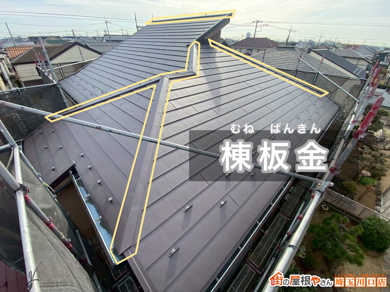 棟板金