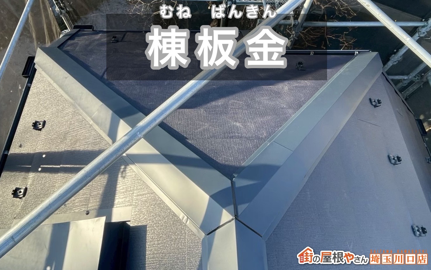 棟板金
