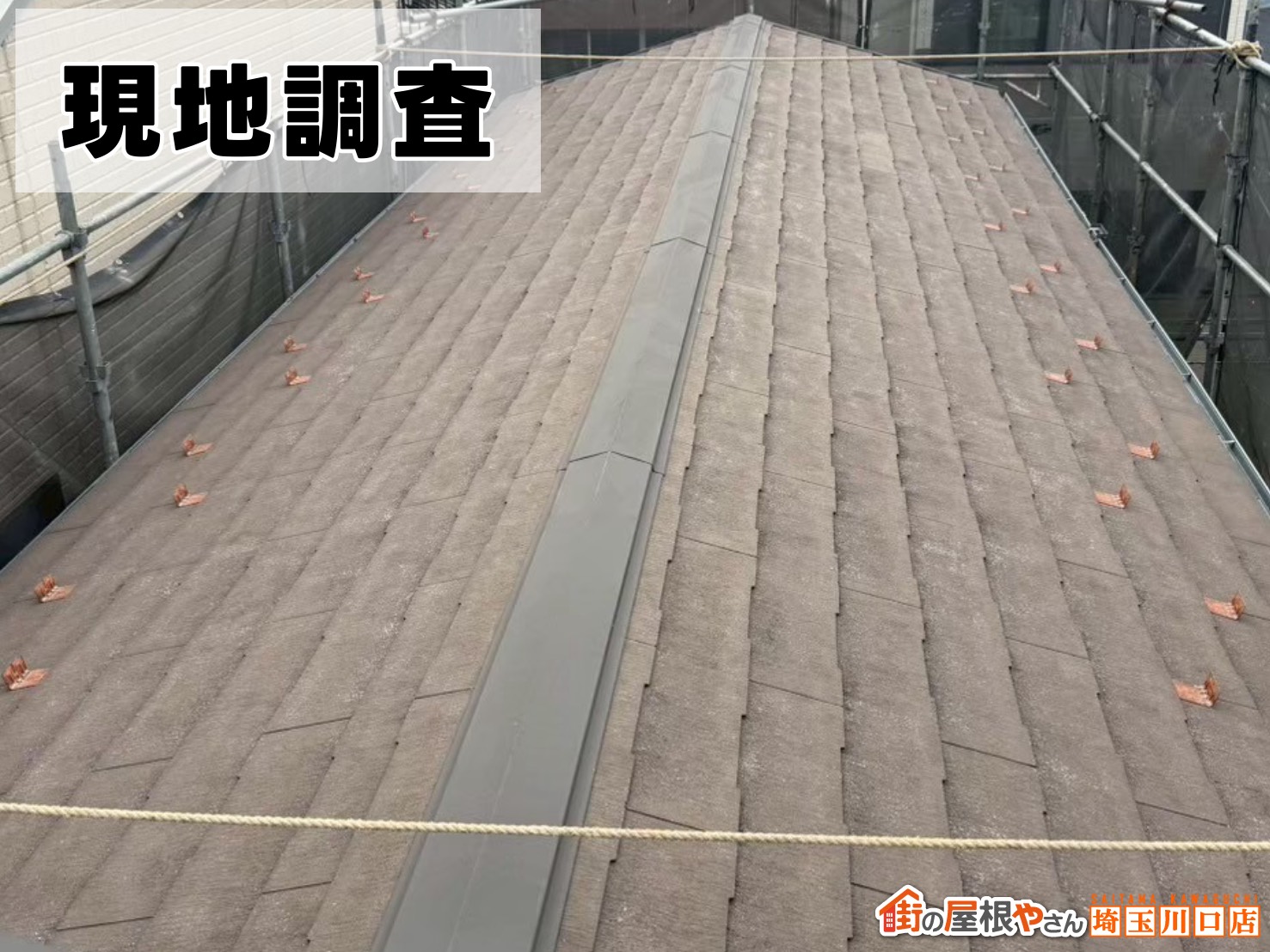 現地調査