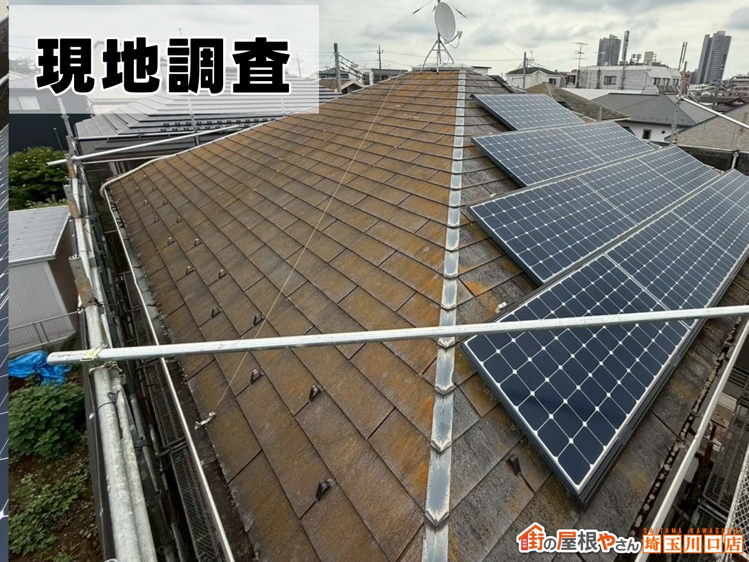 現地調査