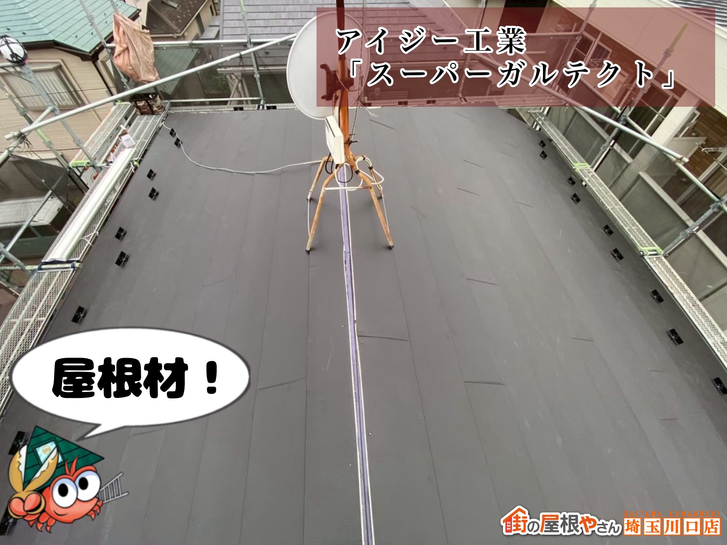 屋根材　アイジー工業｜スーパーガルテクト
