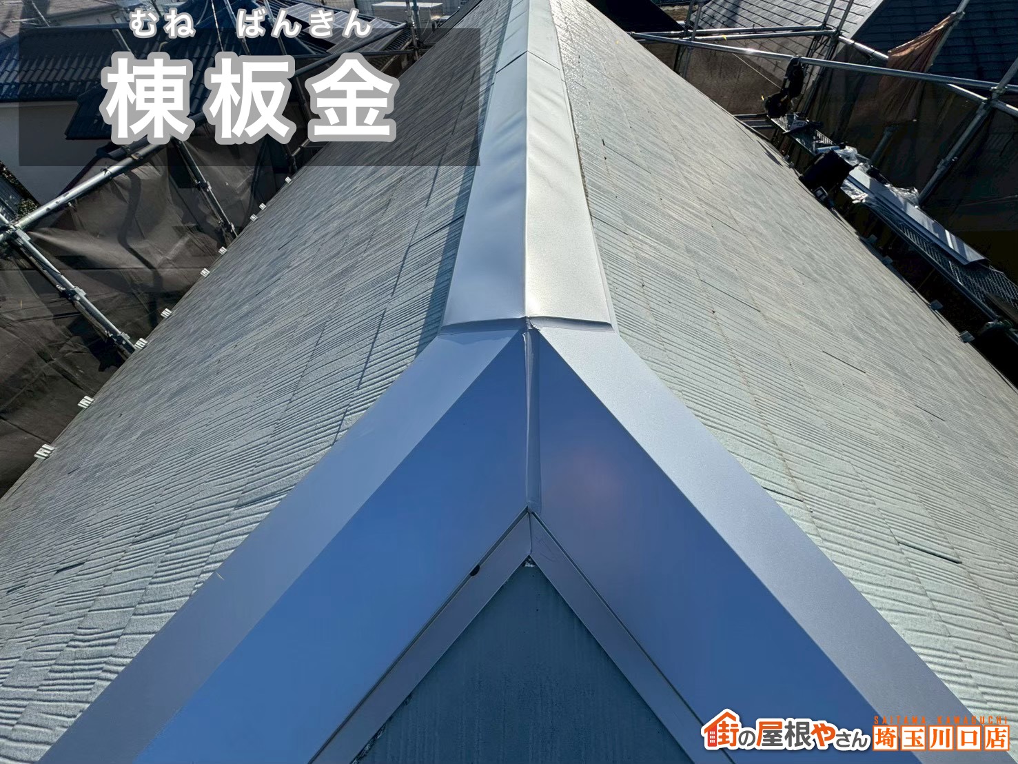 棟板金