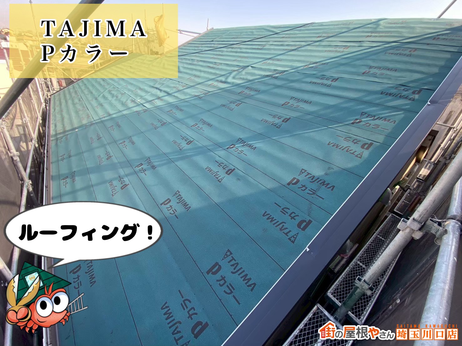ルーフィング　TAJIMA│Pカラー