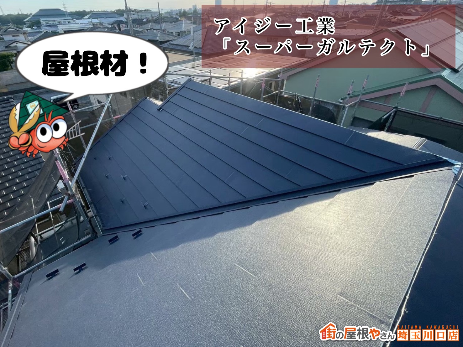 屋根材　アイジー工業｜スーパーガルテクト