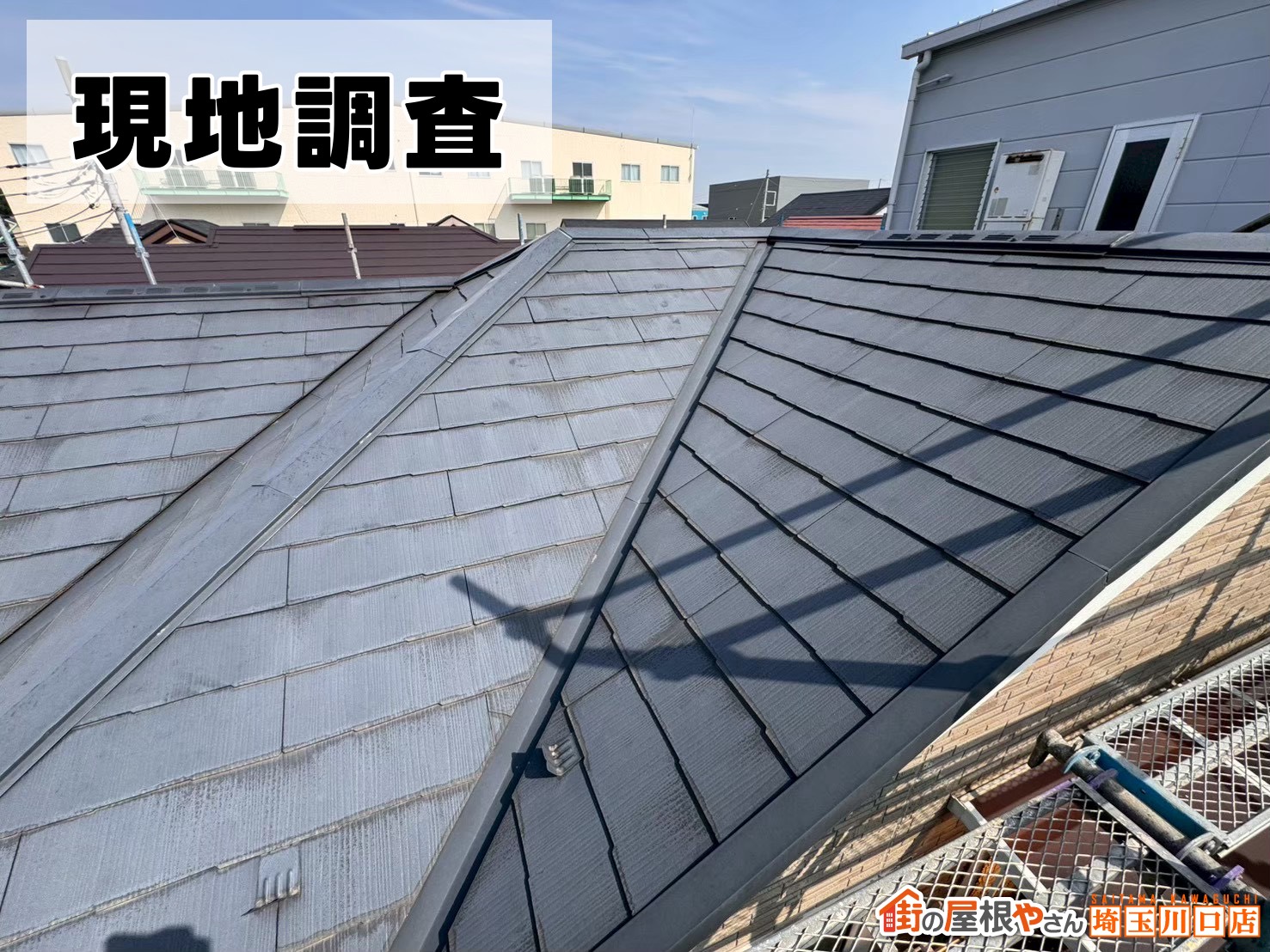 現地調査の様子