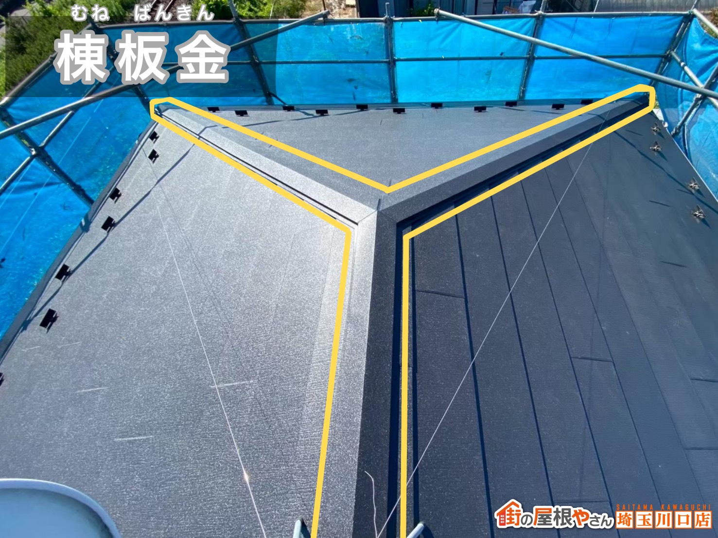 棟板金